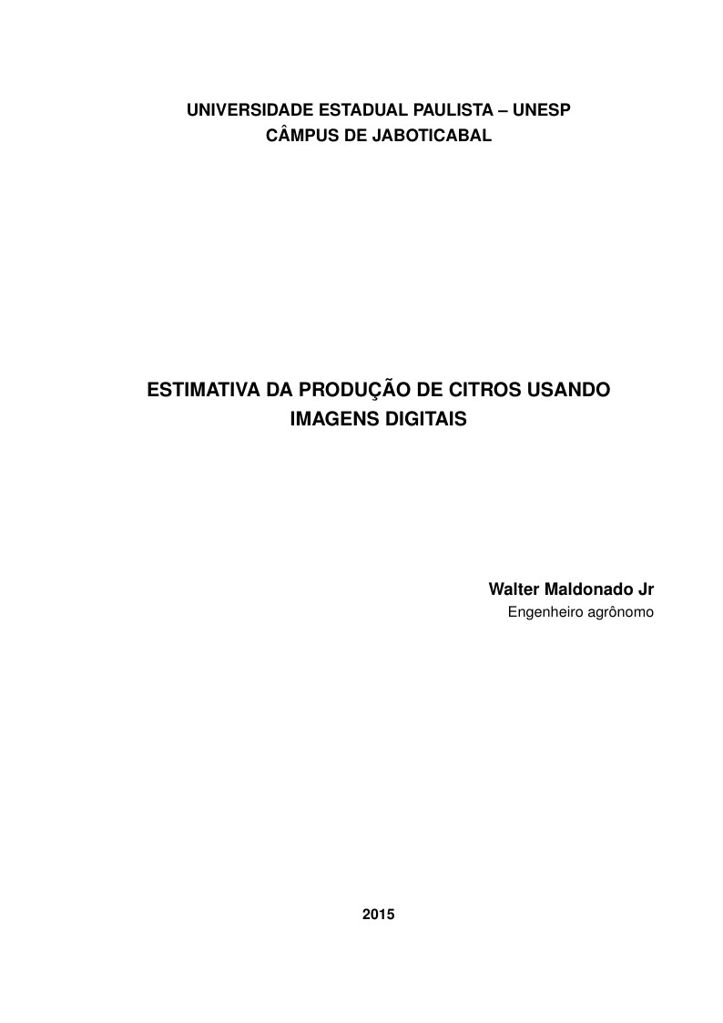 Universidade Estadual Paulista (UNESP) Thesis Template