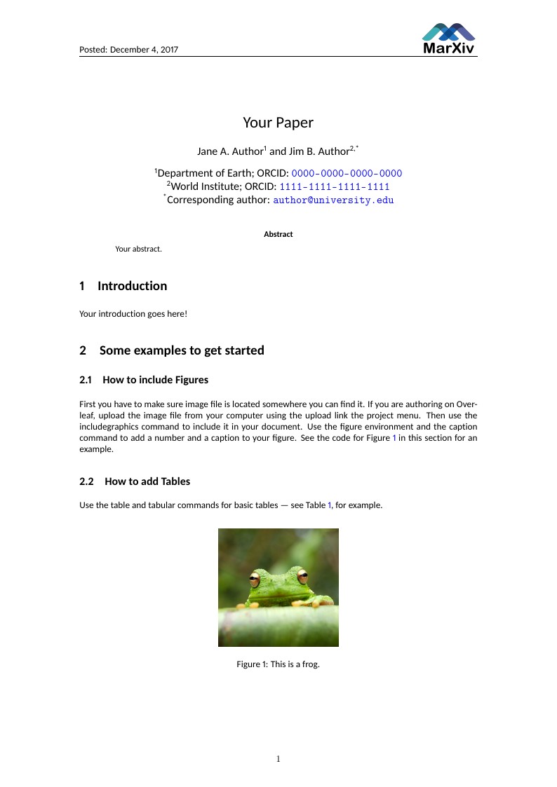 MarXiv Submission Template