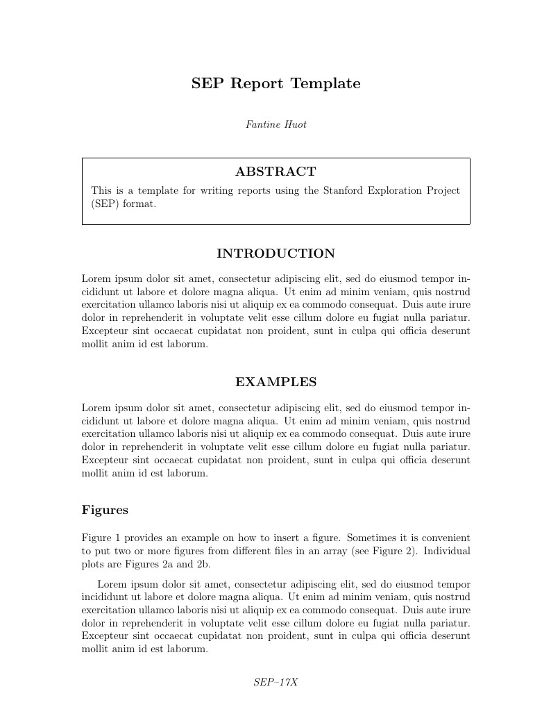 SEP report - Template